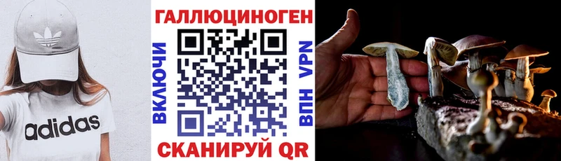Галлюциногенные грибы мицелий Анадырь
